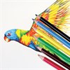 Карандаши цветные ПИФАГОР "ЖИРАФ", 6 цветов, пластиковые, классические заточенные, 181249 - фото 2598665
