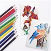 Карандаши цветные акварельные BRAUBERG "Корсары", 12 цветов, заточенные, картонная упаковка, 180566 - фото 2599000