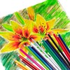 Карандаши цветные BRAUBERG PREMIUM, 18 цветов, трехгранные, грифель 3,3 мм, 181652 - фото 2599942