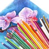 Карандаши цветные BRAUBERG PREMIUM, 18 цветов, трехгранные, грифель 3 мм, 181662 - фото 2600009