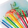Карандаши цветные BRAUBERG PREMIUM, 12 цветов, пластиковые, трехгранные, грифель 3 мм, 181661 - фото 2600102