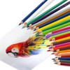 Карандаши цветные BRAUBERG PREMIUM, 24 цвета, шестигранные, грифель 3,3 мм, 181658 - фото 2600153