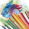Карандаши цветные BRAUBERG PREMIUM, 36 цветов, пластиковые, трехгранные, грифель 3 мм, 181664 - фото 2600930