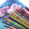 Карандаши цветные BRAUBERG PREMIUM, 24 цвета, пластиковые, шестигранные, грифель 3 мм, 181668 - фото 2600965