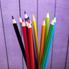 Карандаши цветные BRAUBERG PREMIUM, 12 цветов, пластиковые, трехгранные, грифель 3 мм, 181661 - фото 2601031