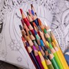 Карандаши цветные акварельные BRAUBERG PREMIUM AQUARELLE, 36 цветов, грифель 4 мм, 181674 - фото 2601510