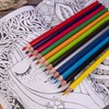 Карандаши цветные BRAUBERG PREMIUM, 12 цветов, трехгранные, грифель 3,3 мм, 181651 - фото 2601840