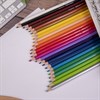 Карандаши цветные BRAUBERG PREMIUM, 24 цвета, пластиковые, шестигранные, грифель 3 мм, 181668 - фото 2601934