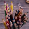 Карандаши цветные BRAUBERG PREMIUM, 36 цветов, пластиковые, трехгранные, грифель 3 мм, 181664 - фото 2601974