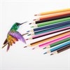 Карандаши с двухцветным грифелем BRAUBERG BICOLOUR, 12 штук, 24 цвета, 181855 - фото 2602200