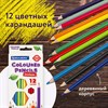 Карандаши цветные BRAUBERG PREMIUM, 12 цветов, шестигранные, грифель 3,3 мм, натуральное дерево, 181656 - фото 2603909