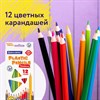 Карандаши цветные BRAUBERG PREMIUM, 12 цветов, пластиковые, трехгранные, грифель 3 мм, 181661 - фото 2605182