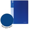 Папка 100 вкладышей BRAUBERG стандарт, синяя, 0,9 мм, 221609 - фото 2612585