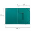 Папка на резинках BRAUBERG, стандарт, зеленая, до 300 листов, 0,5 мм, 221621 - фото 2613569