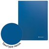 Папка 100 вкладышей BRAUBERG "Office", синяя, 0,8 мм, 222640 - фото 2614828