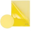 Папка-уголок жесткая BRAUBERG, желтая, 0,15 мм, 223968 - фото 2614907