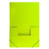 Папка на резинках BRAUBERG "Neon", неоновая, зеленая, до 300 листов, 0,5 мм, 227460 - фото 2619946
