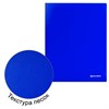Папка 20 вкладышей BRAUBERG "Neon", 16 мм, неоновая, синяя, 700 мкм, 227451 - фото 2620273