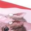 Папка-конверт с кнопкой BRAUBERG "FUNNY CAT", А4, 160 мкм, цветная печать, 228038 - фото 2622390