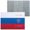 Обложка для паспорта с гербом "Триколор", ПВХ, цвета российского триколора, ДПС, 2203.Ф - фото 2626404