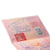 Обложка для листа паспорта, 128х87 мм, ПВХ, прозрачная, ДПС, 1361.К - фото 2631417