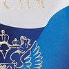 Обложка для паспорта, ПВХ, триколор, STAFF, 237581 - фото 2638259