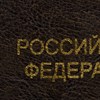 Обложка для паспорта, металлический шильд с гербом, ПВХ, ассорти, STAFF, 237579 - фото 2638269
