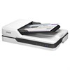 Сканер планшетный EPSON WorkForce DS-1630 А4, 25 стр./мин, 1200x1200, ДАПД, B11B239401 - фото 2656434