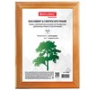 Рамка 15х20 см, дерево, багет 18 мм, BRAUBERG "HIT", канадская сосна, стекло, подставка, 390020 - фото 2659285