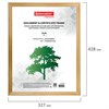 Рамка 30х40 см, дерево, багет 18 мм, BRAUBERG "HIT", канадская сосна, стекло, 390026 - фото 2660888