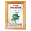 Рамка 10х15 см, дерево, багет 18 мм, BRAUBERG "HIT", канадская сосна, стекло, подставка, 390019 - фото 2660906