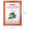 Рамка 15х20 см, дерево, багет 18 мм, BRAUBERG "Pinewood", красное дерево, стекло, подставка, 391217 - фото 2661281