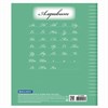 Тетрадь 24 л. BRAUBERG ЭКО "5-КА", линия, обложка плотная мелованная бумага, ЗЕЛЕНАЯ, 403004 - фото 2662401