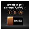 Батарейка DURACELL Basic, 6LR61 (КРОНА), Alkaline, 1 шт., в блистере, 9 В - фото 2667996