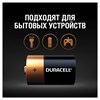 Батарейки DURACELL Basic, С (LR14, 14А), алкалиновые, КОМПЛЕКТ 2 шт., блистер - фото 2668489