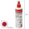 Чистящая жидкость-спрей для маркерных досок BRAUBERG, 250 мл, 510119 - фото 2674426
