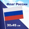 Флаг России ручной 30х45 см, без герба, с флагштоком, BRAUBERG/STAFF, 550182, RU14 - фото 2687916