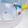 Средство для чистки ванн и душевых 500 мл LAIMA PROFESSIONAL, распылитель, 606376 - фото 2699617