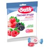 Карамель леденцовая SULA (Зула) "Лесные ягоды", без сахара с витамином С, 60 г, 86639 - фото 2707318