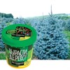 Набор для выращивания растений ВЫРАСТИ ДЕРЕВО! "Ель канадская голубая" (банка, грунт, семена), zk-048 - фото 2712548