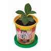 Набор для выращивания растений ВЫРАСТИ ДЕРЕВО! "Кофе арабский карликовый" (банка, грунт, семена), zk-012 - фото 2712613