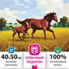 Картина по номерам 40х50 см, ОСТРОВ СОКРОВИЩ "Лошади на лугу", на подрамнике, акриловые краски, 3 кисти, 662464 - фото 2715128