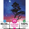 Картина по номерам 40х50 см, ОСТРОВ СОКРОВИЩ "Звездная ночь", на подрамнике, акриловые краски, 3 кисти, 662495 - фото 2715264