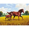 Картина по номерам 40х50 см, ОСТРОВ СОКРОВИЩ "Лошади на лугу", на подрамнике, акриловые краски, 3 кисти, 662464 - фото 2715344