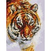 Картина по номерам 40х50 см, ОСТРОВ СОКРОВИЩ "Тигр", на подрамнике, акриловые краски, 3 кисти, 662473 - фото 2715458