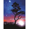 Картина по номерам 40х50 см, ОСТРОВ СОКРОВИЩ "Звездная ночь", на подрамнике, акриловые краски, 3 кисти, 662495 - фото 2715560