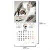 Календарь настенный перекидной на 2024 г., BRAUBERG, 12 листов, 29х29 см, "Кошечки", 115315 - фото 3305078
