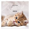 Календарь настенный перекидной на 2024 г., BRAUBERG, 12 листов, 29х29 см, "Милые котики", 115321 - фото 3305238