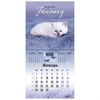 Календарь настенный перекидной на 2024 г., BRAUBERG, 12 листов, 29х29 см, "Милые котики", 115321 - фото 3305297