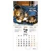 Календарь настенный перекидной на 2024 г., BRAUBERG, 12 листов, 29х29 см, "Кошечки", 115315 - фото 3305357